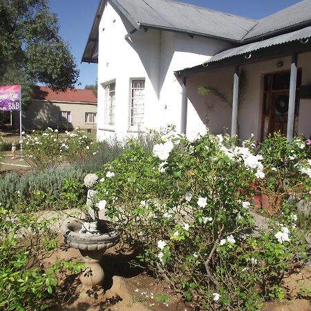 Bed and Breakfast Lavender Rose Bethulie Esterno foto