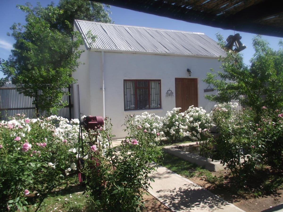 Bed and Breakfast Lavender Rose Bethulie Esterno foto