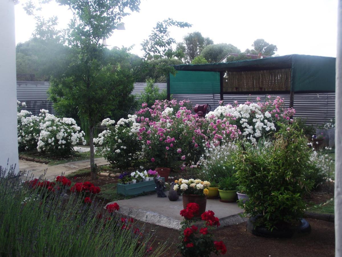 Bed and Breakfast Lavender Rose Bethulie Esterno foto