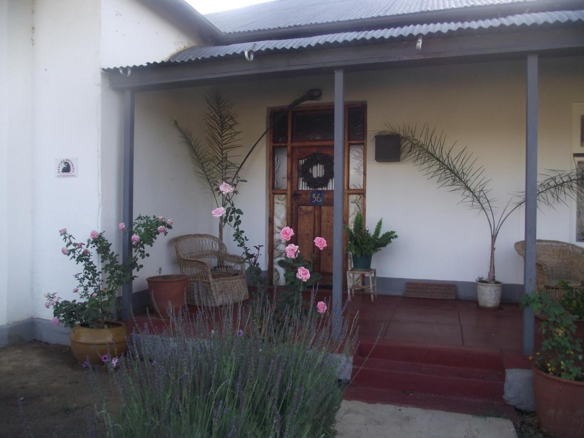 Bed and Breakfast Lavender Rose Bethulie Esterno foto