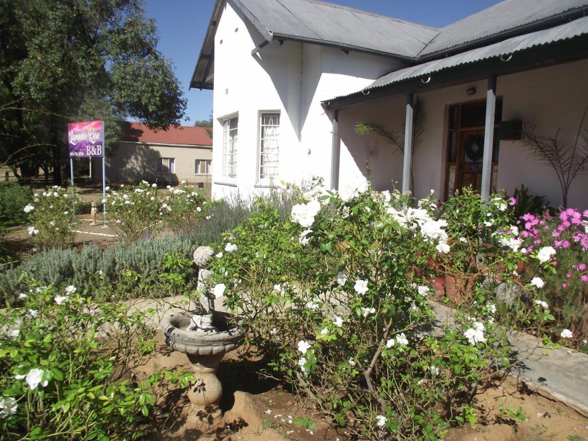 Bed and Breakfast Lavender Rose Bethulie Esterno foto