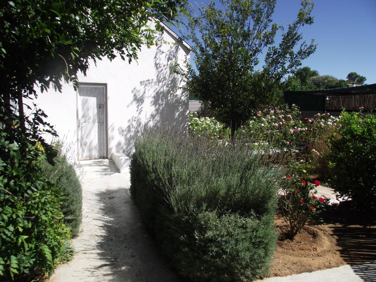 Bed and Breakfast Lavender Rose Bethulie Esterno foto